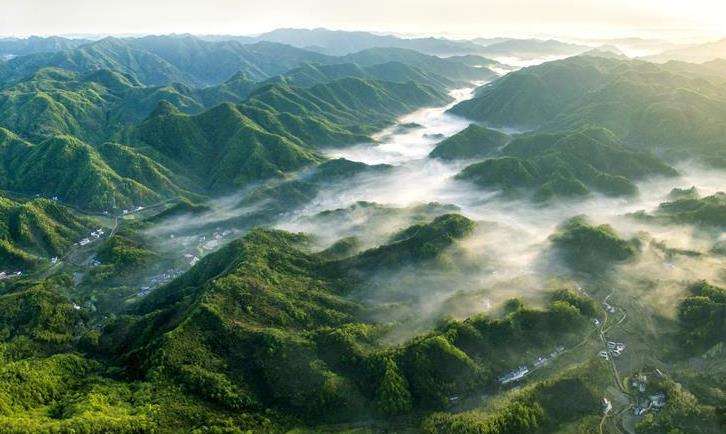 落实垃圾分类，依托科技创新，实现绿色发展