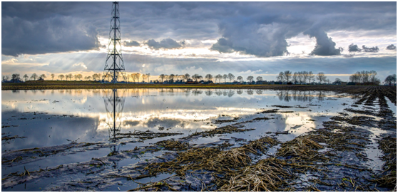 z6com·尊龙环保：污油泥无害化资源化处理解决方案